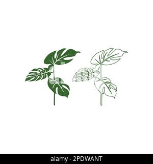 set di foglie di mostera. Il disegno dell'Illustrazione del modello vettoriale del logo del foglio di Monstera Illustrazione Vettoriale