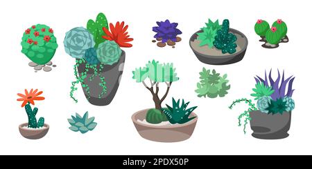 Collezione di cactus tropicali, fiori e succulenti con rocce Illustrazione Vettoriale