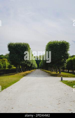 BRUEHL, GERMANIA - 19 luglio 2020: Schloss Bruehl, o Castello di Bruehl, un sito patrimonio dell'umanità dell'UNESCO a Bruehl, Germania. Credito: ANT Palmer/Alamy Foto Stock