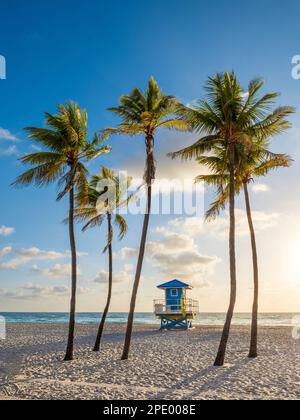 Sunrise Hollywood Beach Miami Beach, Florida USA Foto Stock