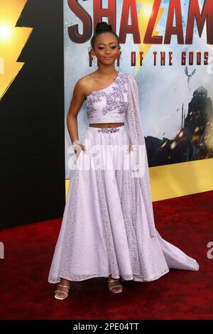 LOS ANGELES - MAR 14: Faithe Herman allo Shazam! Fury of the Gods Los Angeles Premiere al Village Theater il 14 marzo 2023 a Westwood, California Foto Stock