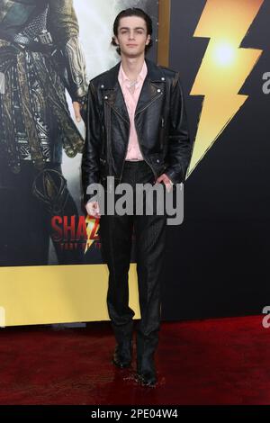 LOS ANGELES - MAR 14: Angelo AVI allo Shazam! Fury of the Gods Los Angeles Premiere al Village Theater il 14 marzo 2023 a Westwood, California Foto Stock