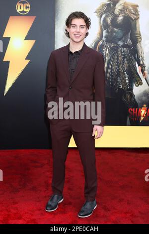 Los Angeles, California. 14th Mar, 2023. Carson MacCormac agli arrivi per SHAZAM! FURY OF THE GODS Premiere, Regency Village Theatre, Los Angeles, CA 14 marzo 2023. Credit: Priscilla Grant/Everett Collection/Alamy Live News Foto Stock