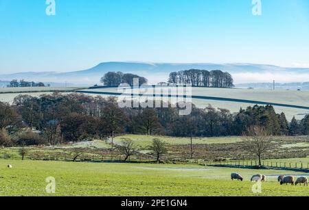Una mattina gelida, Chipping, Preston, Lancashire, Regno Unito Foto Stock