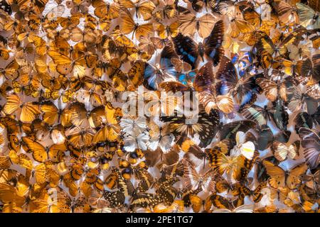 Artigianato in Kenya Foto Stock