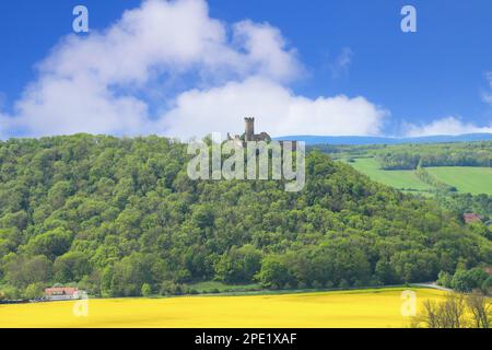 Rovine del castello Mühlburg, vista dalle rovine del castello Gleichen, Turingia - Germania Foto Stock