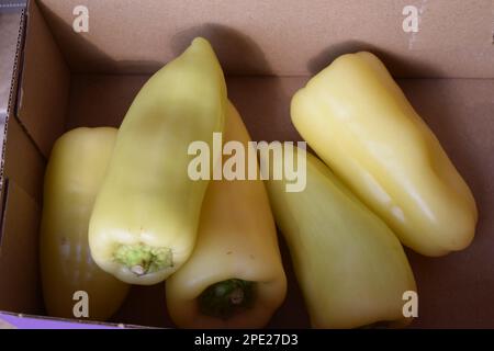 Paprika gialla ungherese Foto Stock