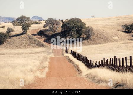 Una strada solitaria sterrata attraverso le praterie lungo il confine tra gli Stati Uniti e il Messico in Arizona. Foto Stock