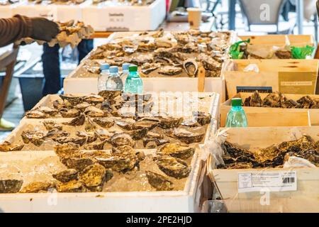 Il festival delle ostriche a riga, Lettonia Foto Stock