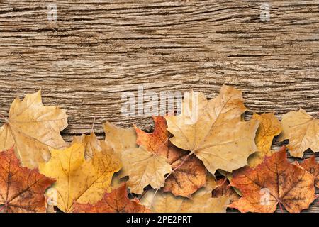 Foglie autunnali asciutte su sfondo rustico in legno Foto Stock