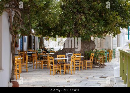 Grecia. Isola di Tinos Cicladi. Caffè tradizionale all'aperto presso il villaggio di Pyrgos. Sedie e tavoli vuoti sotto un enorme albero piano Foto Stock