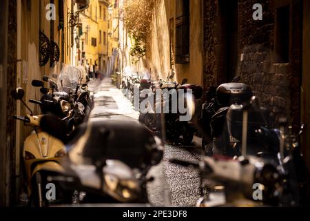 Ciclomotori e scooter per le strade di Firenze in Italia. Foto Stock