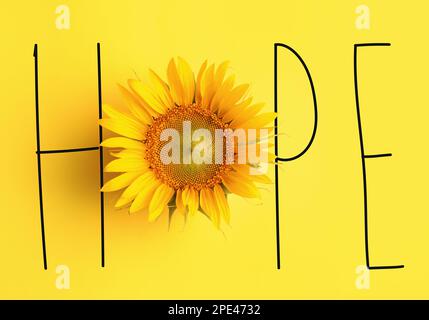 Parola SPERANZA fatta con lettere e bel girasole su sfondo giallo Foto Stock