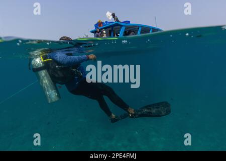Un subacqueo di Scuba sta per scendere sott'acqua dopo aver saltato fuori dalla barca (fotografato a Netrani Island - Karnataka India) Foto Stock