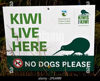 Segnali stradali progettati per sensibilizzare il conducente sul fatto che nella zona si potrebbe incontrare Kiwis. Le indicazioni sono vicino all'insediamento della West Coast di Okarito Foto Stock