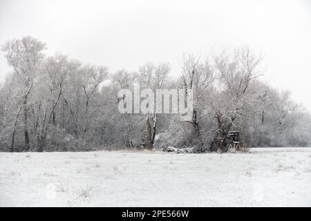 Inizio dell'inverno a Meerbusch, Renania settentrionale-Vestfalia, Germania. Forte nevicata in una riserva naturale, Ilvericher Altrheinschlinge vicino a Düsseldorf. Foto Stock