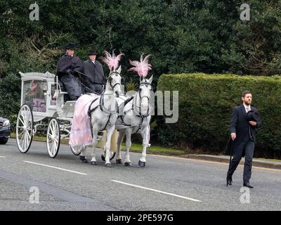 Warrington, Cheshire, Regno Unito - 15 marzo 2023 - i funerali di Brianna Ghey hanno avuto luogo nella St Elphin's Church di Warrington. L'uccisione di Brianna Ghey ebbe luogo a Culcheth Linear Park, Borough of Warrington, Cheshire, Inghilterra, il 11 febbraio 2023, dove fu ritrovata con più ferite da stab. Due adolescenti accusati, un ragazzo e una ragazza di 15 anni, sono in custodia della polizia. Poiché la Gran Bretagna non ha l'ID di sé, l'adolescente trans Brianna Ghey non può essere sepolta come il suo vero sé e non potrà avere la dignità di avere "figlia amata" sulla sua lapide. Credit: John Hopkins/Alamy Live News Foto Stock