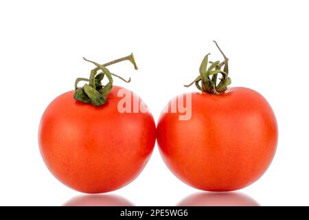 Due pomodori maturi su un ramo, macro, isolati su uno sfondo bianco. Foto Stock