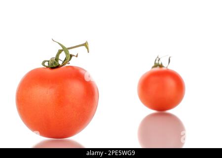 Due pomodori maturi su un ramo, macro, isolati su uno sfondo bianco. Foto Stock