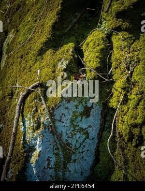 Primo piano di una formazione rocciosa coperta di muschio verde Foto Stock