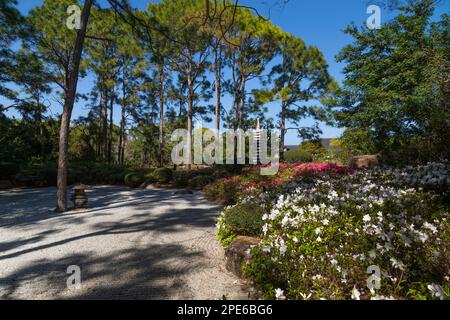 Morikami Museum and Japanese Garden, Delray Beach, Florida, USA Foto Stock