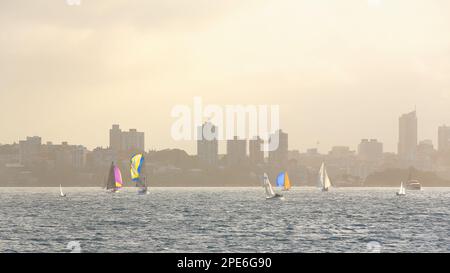 553 barche a vela da corsa che navigano nelle acque di Double Bay sotto la calda luce di un pomeriggio di colore. Porto di Sydney-Australia. Foto Stock