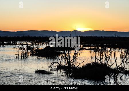 vista sul fiume delta con una catena montuosa sullo sfondo del tramonto Foto Stock