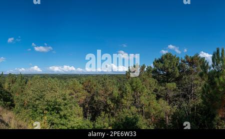 Vista sulla riserva naturale Schoorlser Duenen, Schoorl, Olanda settentrionale, Paesi Bassi Foto Stock