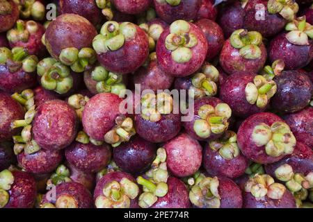 Purple mangosteen (Garcinia mangostana), in vendita presso lo stand del mercato, Hong Kong, Cina Foto Stock