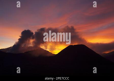 Fumo che sale dal vulcano al tramonto, Monte bromo (a sinistra) e Monte Batok (a destra), bromo Tengger Semeru N. P. East Java, Indonesia Foto Stock