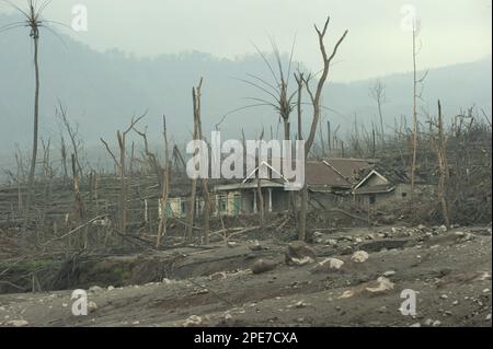 Campi coperti di cenere, case danneggiate e alberi morti, dalla recente eruzione vulcanica, Kepuharjo, Monte Merapi, Giava Centrale, Indonesia, Novembre 2010 Foto Stock