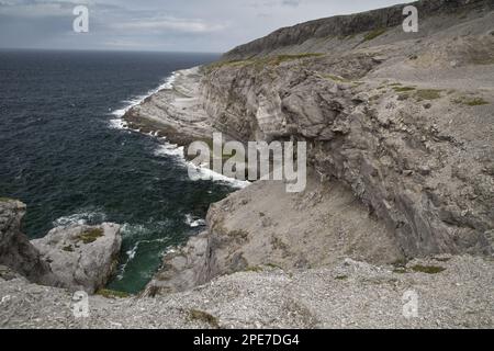 Vista delle scogliere calcaree del mare, Burnt Cape Ecological Reserve, Raleigh, Great Northern Peninsula, Terranova, Canada Foto Stock
