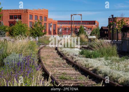 Evanston, Wyoming, la storica rotonda e i binari, costruiti dalla Union Pacific Railroad nel 1912. L'edificio aveva 28 baie per la ferrovia e. Foto Stock