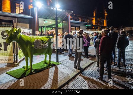 BATHMEN - i membri del movimento BBB (Boer Burger Movement) seguono i primi sondaggi di uscita sui loro telefoni cellulari di fronte ai risultati BBB notte per le elezioni del Consiglio Provinciale. ANP VINCENT JANNINK olanda fuori - belgio fuori Foto Stock