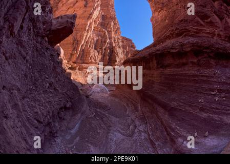 Le strette del Cathedral Canyon che segue Cathedral Wash verso le Vermilion Cliffs nella Glen Canyon Recreation Area a Marble Canyon Arizona. Foto Stock