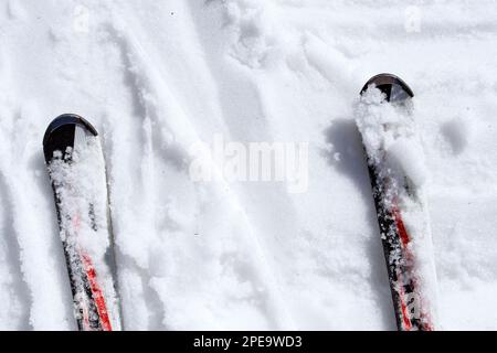 Sci nella neve bagnata Foto Stock