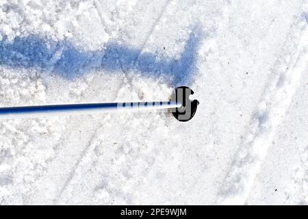 Bastone da sci nella neve Foto Stock