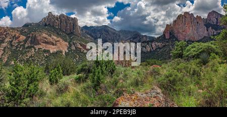 Silver Peak Trail, monumento nazionale Chiricahua, Arizona Foto Stock