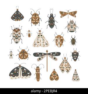 Carino insetti folk set illustrazioni. Vettore Moth, farfalla, bug, formica, gragonfly, scarafaggio con ornamento geometrico. Illustrazione Vettoriale