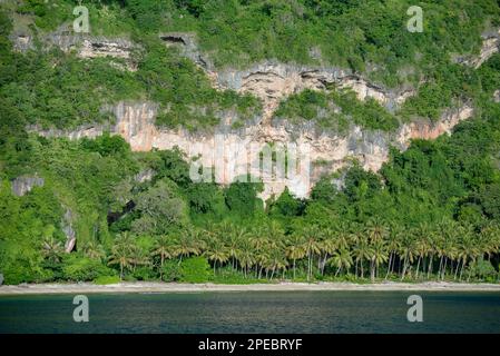 Costa, Tanibar, Isole Forgotten, Mare di banda, Indonesia Foto Stock