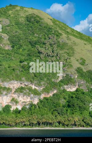 Costa, Tanibar, Isole Forgotten, Mare di banda, Indonesia Foto Stock