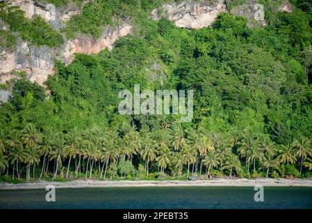 Costa, Tanibar, Isole Forgotten, Mare di banda, Indonesia Foto Stock