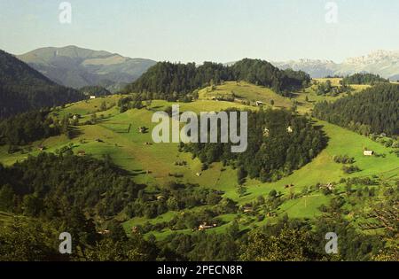 Paesaggio nei Monti Trascaului, Romania, 2001 Foto Stock