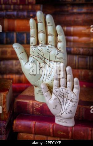 Palm Reading mani su vecchi libri Still Life Foto Stock