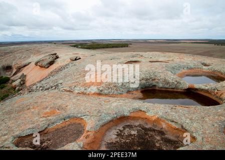Pildappa Rock - Minnipa - Australia Foto Stock