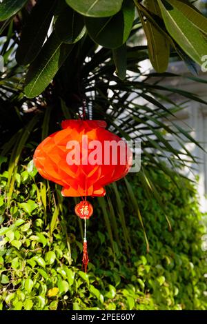 Decorazione di carta rossa che imita una lanterna asiatica appesa in un giardino tropicale. Ornamento festivo con un carattere cinese per la felicità scritto su di esso Foto Stock