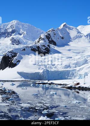 Browns Station e Paradise Bay Antartide Foto Stock