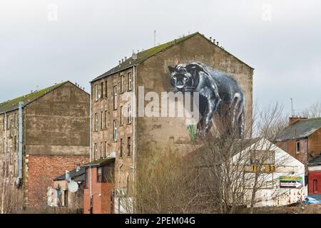 Murale Black Panther sull'estremità timpano del blocco di tenement, Maryhill, Glasgow, Scozia, Regno Unito Foto Stock