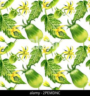 illustrazione di pomodori, motivo acquerello senza cuciture con pomodori, fiori, brunch, disegno disegnato a mano, verdure rosse e verdi Foto Stock