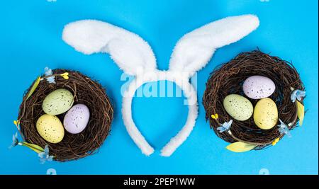 Uova di Pasqua nei nidi e orecchie di coniglio su sfondo blu, vista dall'alto Foto Stock